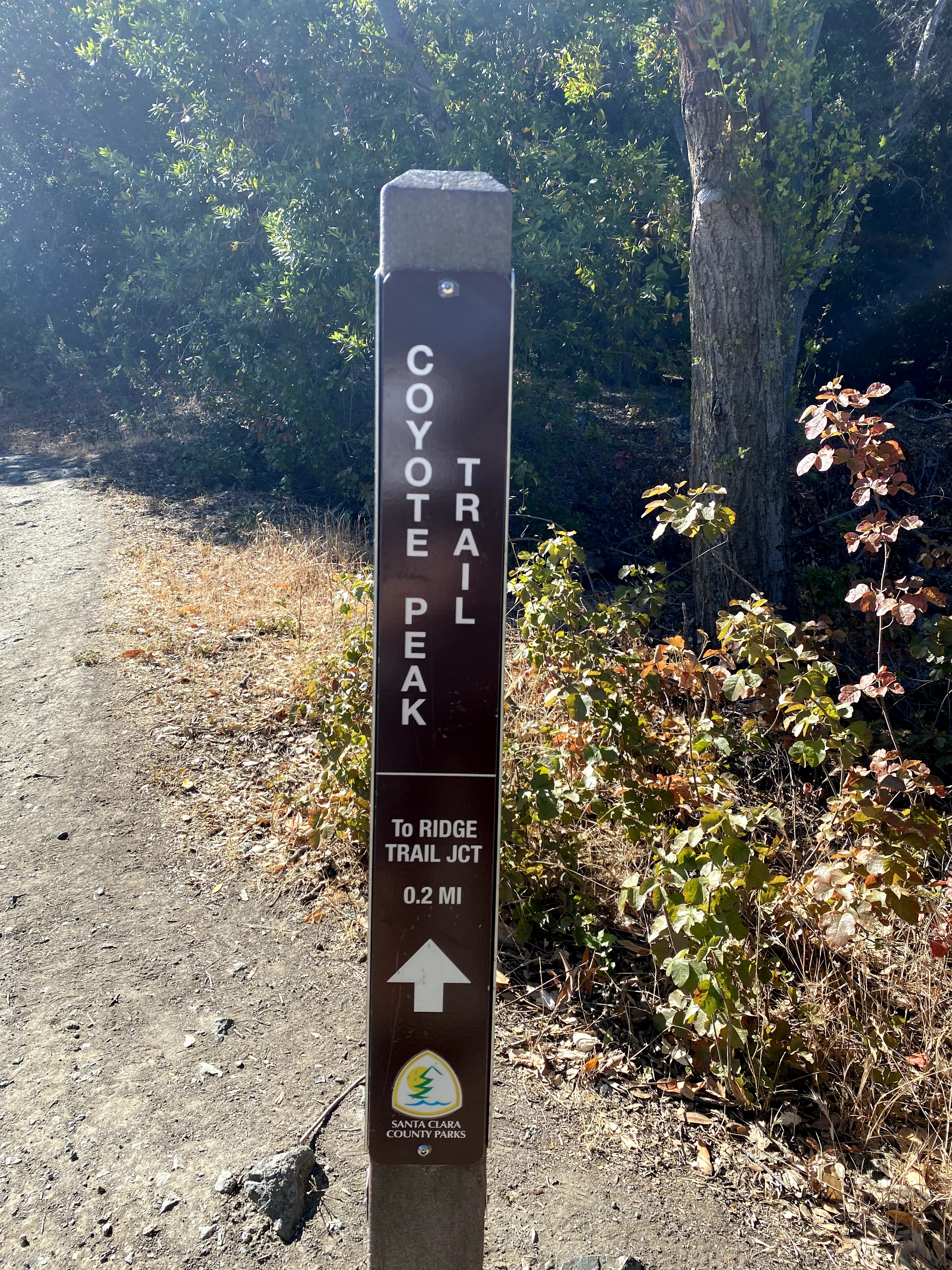 Coyote Peak Trail